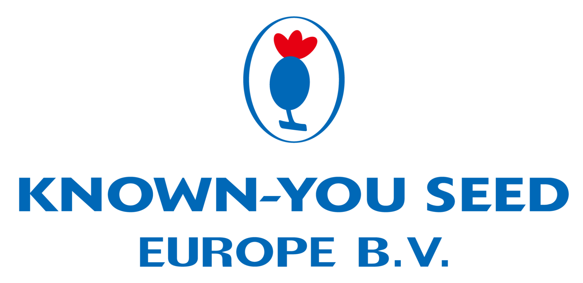 KY-Europe-B.V.-logo-02 (1)
